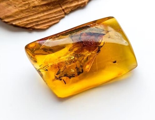 Piedra preciosa de origen orgánico y color amarillo